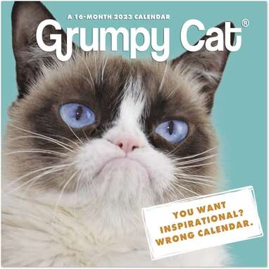 For fans of social media’s favorite cat: Mead Grumpy Cat Mini Wall Calendar