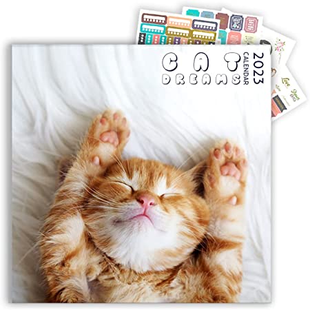 11 Cat Calendars That Will Get You Excited To Plan Your 2023 - DodoWell -  The Dodo