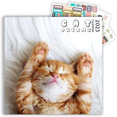 A calendar that comes with stickers: Artico Cat Dreams Calendar 2023