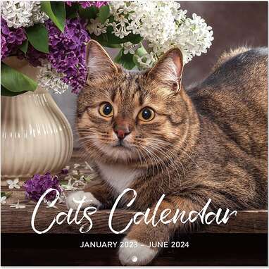 Because you can’t beat cat photography: Lemome Home Cats Calendar 2023