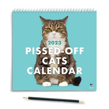 Because, well, that’s how they are sometimes: TheRaccoonSociety 2023 Pissed-Off Cats Calendar