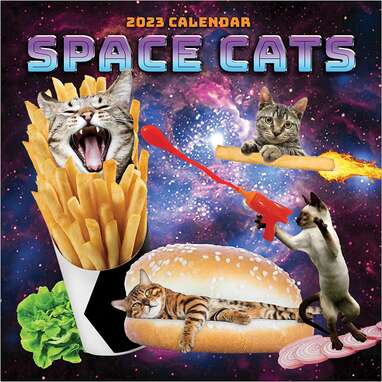 The only thing better than cats on Earth: TF Publishing Space Cats 2023 Calendar