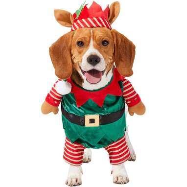 Dog Christmas Outfit: The Cutest Clothes Your Pup Can Wear This Holiday -  DodoWell - The Dodo