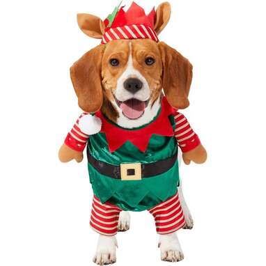 Christmas hot sale dog suit