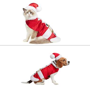 Dog in santa outfit best sale