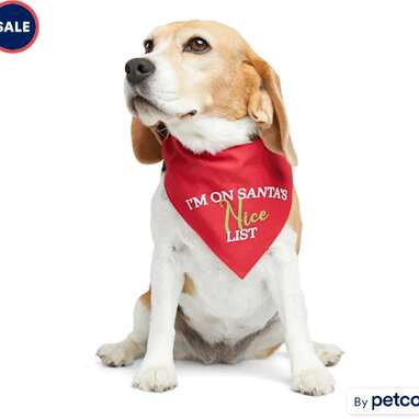 Naughty and nice dog bandanas sale