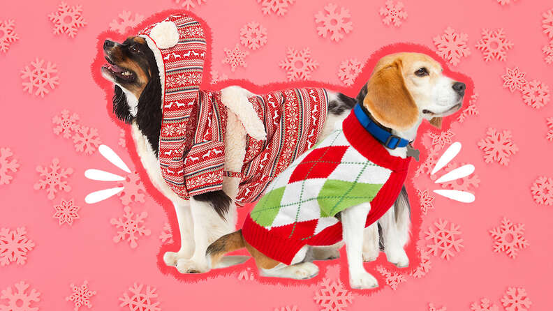 Dog on sale christmas wear