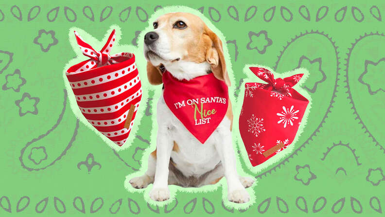 Dog christmas outlet bandana