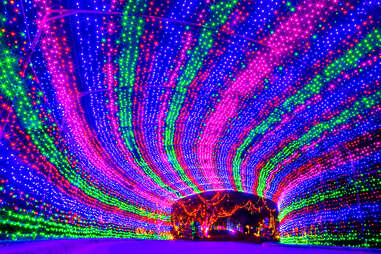 Trail of Lights Tunnel
