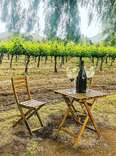 14 Reasons to Drive to the Santa Clarita Valley