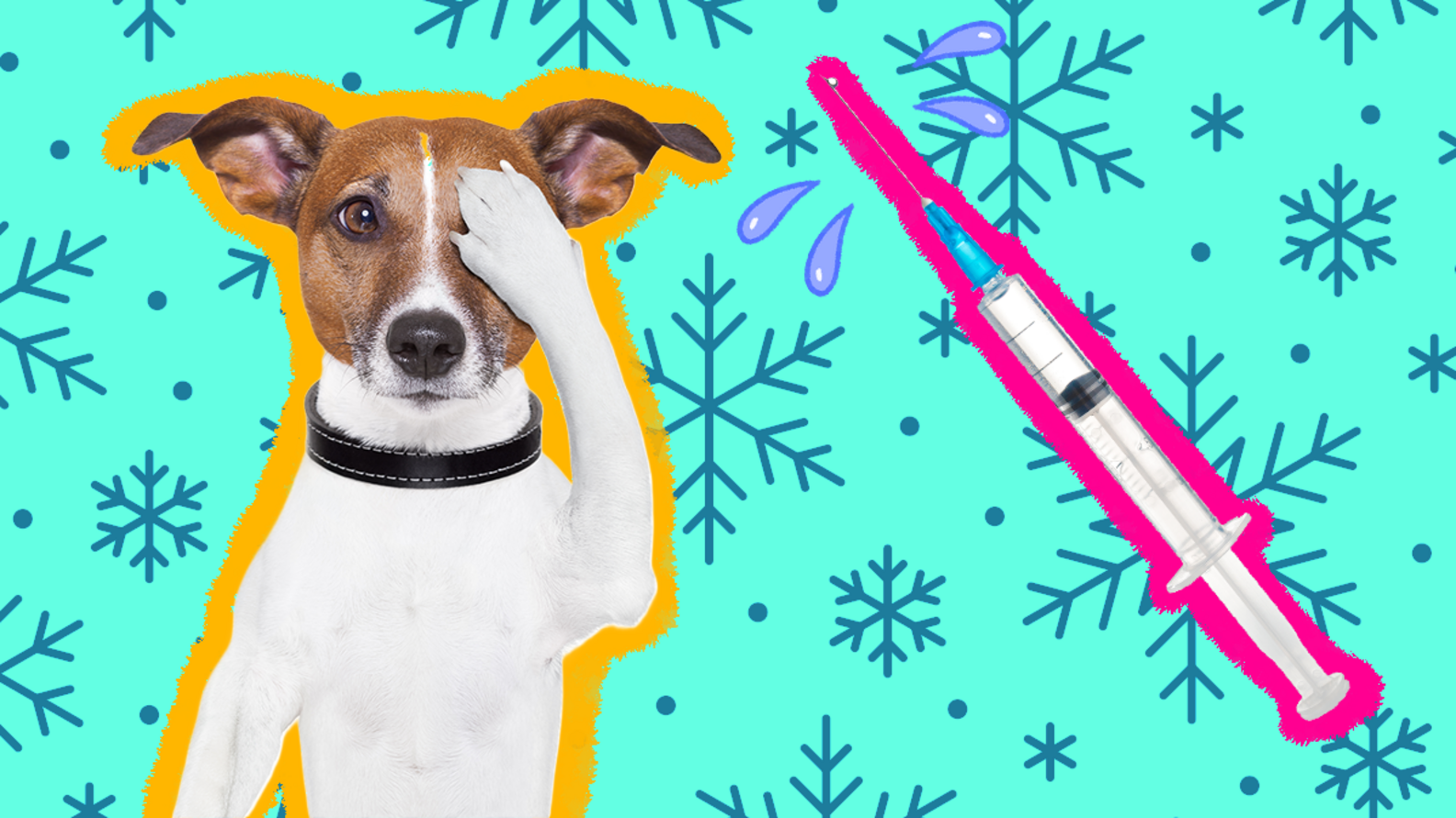 Dog Flu Shot Why Your Pup May Need The Canine Influenza Vaccine