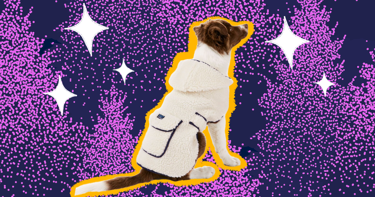 Dog Winter Coat: 7 Jackets To Keep Your Pup Warm In Cold