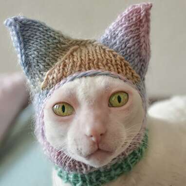 Keep those ears warm: Hat For Cat Ears