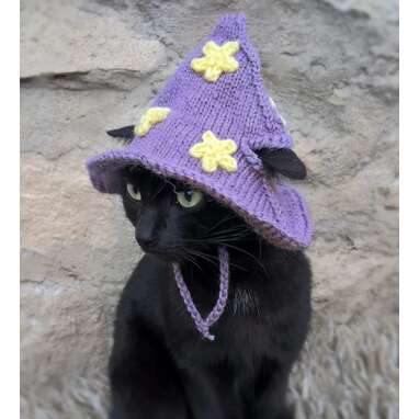 She’ll put a spell on you: Purple Wizard Cat Hat