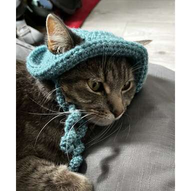 Crochet Cat Hat: 10 Adorable Picks For Your Stylish Kitty - DodoWell - The  Dodo