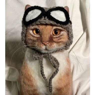 Fly the friendly skies: Aviator Hat For Cats