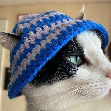 Too cool for school: Crochet Cat Beanie