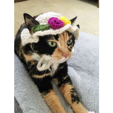 Flower power: Mini Roses Cat Hat