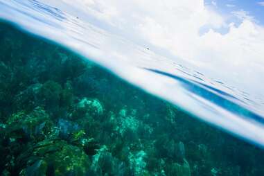 Under and Over Biscayne Bay View