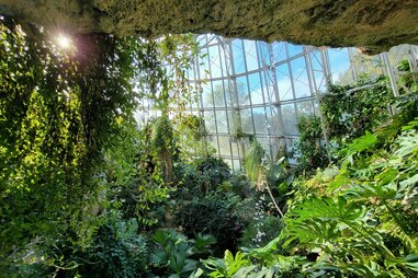 Inside of Cockrell Butterfly Museum