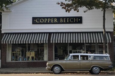 Copper Beech By The Sea