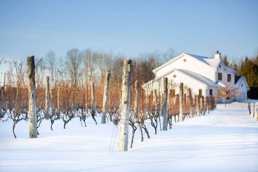 Where to Find Natural Wine in Québec Thrillist