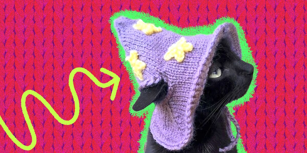 Crochet Cat Hat: 10 Adorable Picks For Your Stylish Kitty - DodoWell - The  Dodo