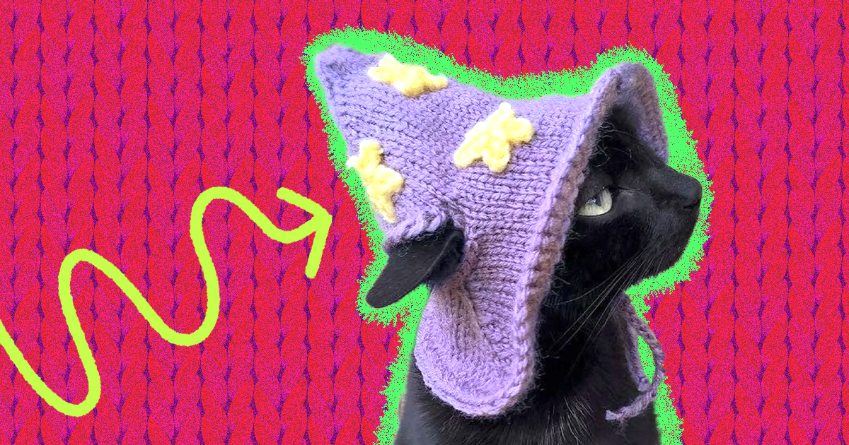 Médico rechazo tarifa Crochet Cat Hat: 10 Adorable Picks For Your Stylish Kitty - DodoWell - The  Dodo