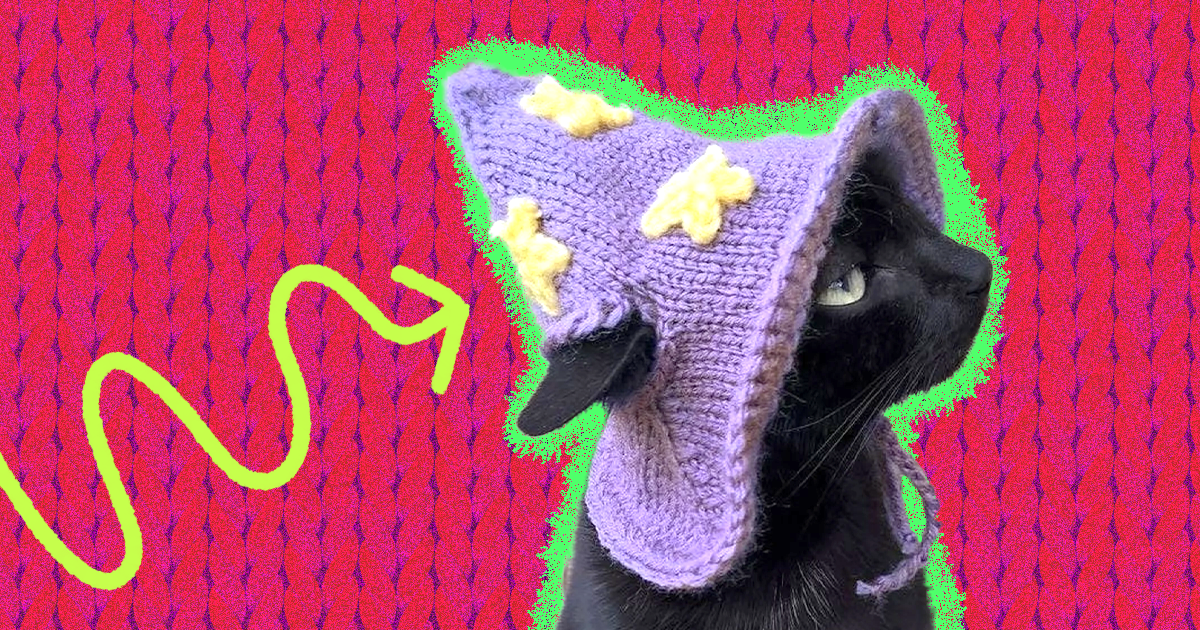 Crochet Cat Hat: 10 Adorable Picks For Your Stylish Kitty - DodoWell - The  Dodo