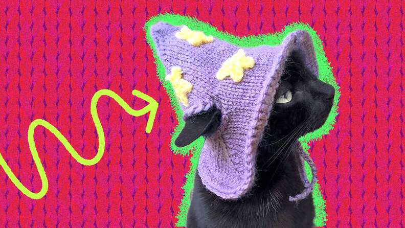 Cat stocking hat