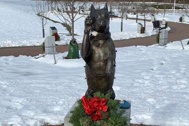 Sergeant Stubby Salutes