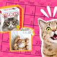 Cat Calendars That Will Get You Excited To Plan Your 2023