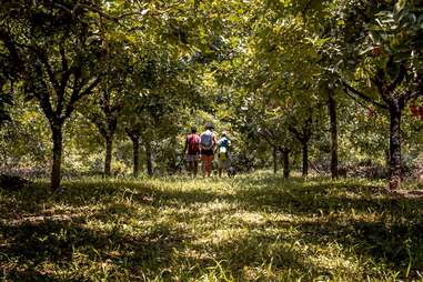 Hagia Sofia Eco Adventure Park