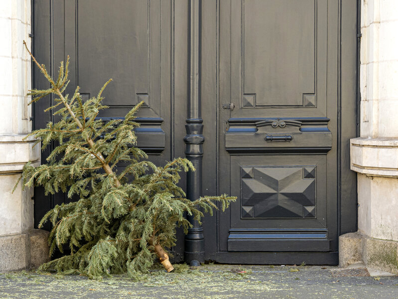 NYC Christmas Tree Disposal Locations for Recycling Program Thrillist