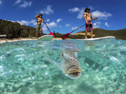 Lord Howe Island - Accommodation, beaches, hikes & activities