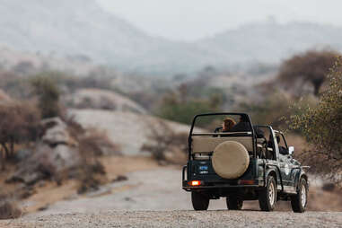 Jeep Safari en Inde