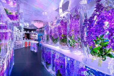 Minus5 Ice Bar