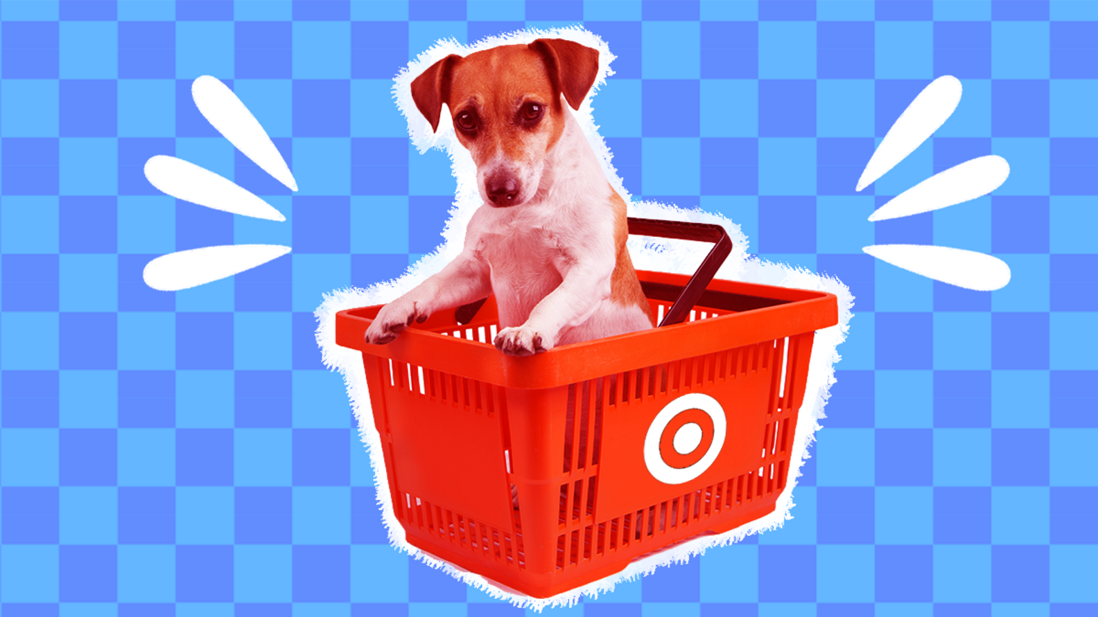 Target Dog. Shop Are Dogs Allowed In Target? What To Know About The Retailer’s Pet ...