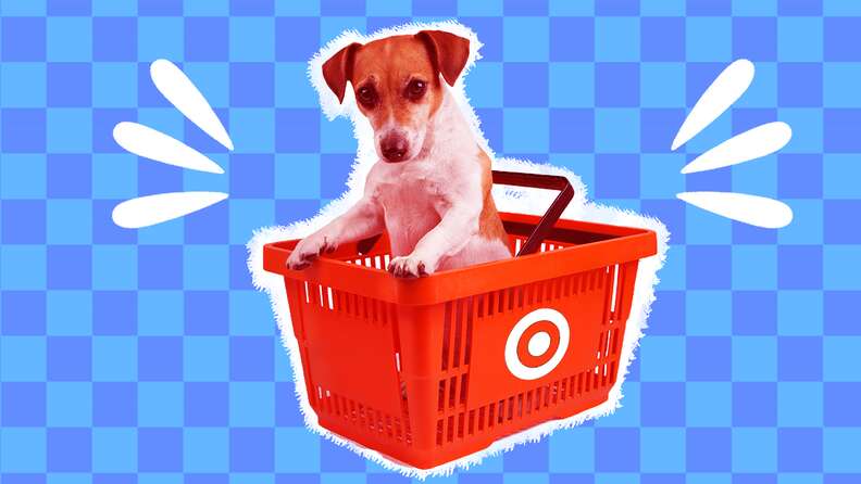 Target puppy outlet