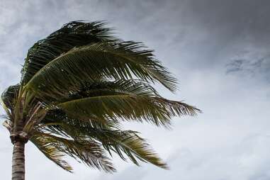 cover medical emergencies while on vacation