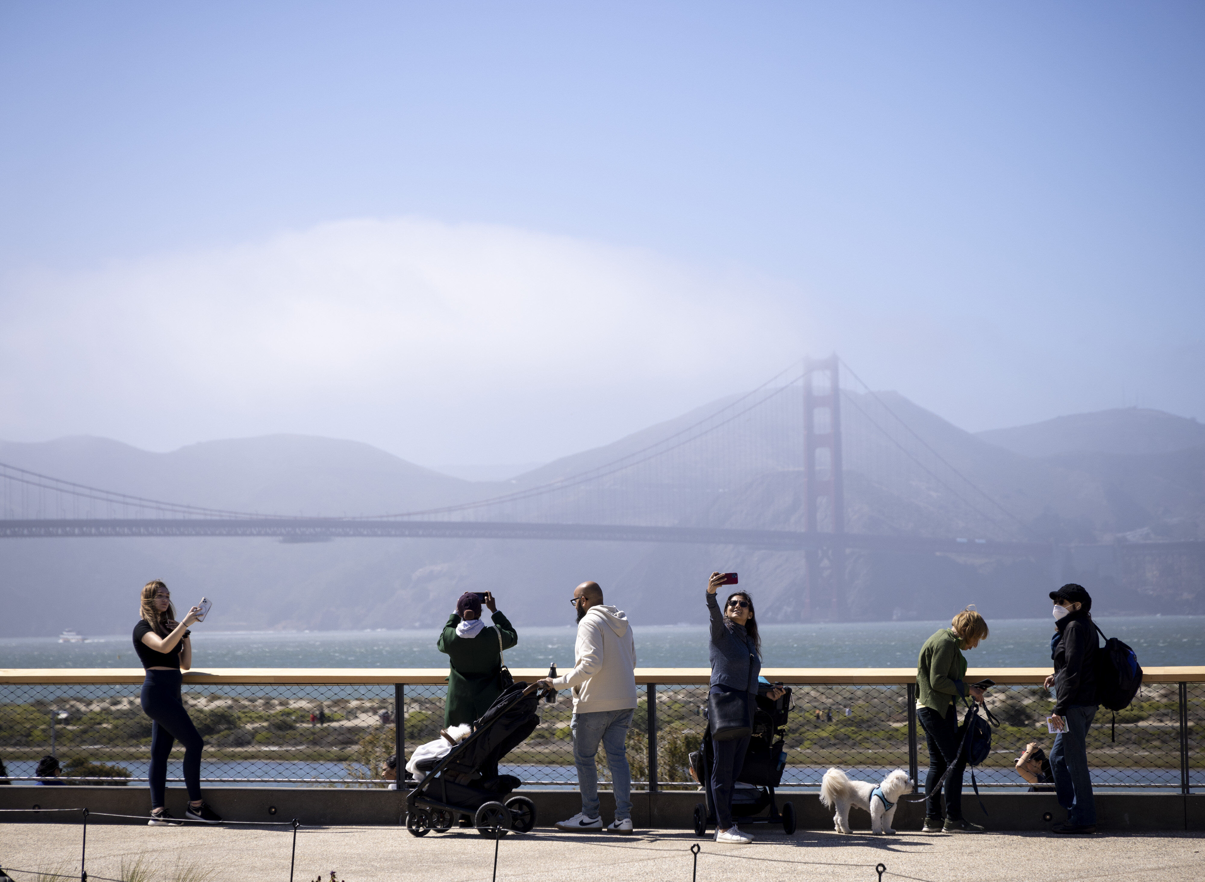 Walk the San Francisco Version of the High Line at Presidio Tunnel Tops