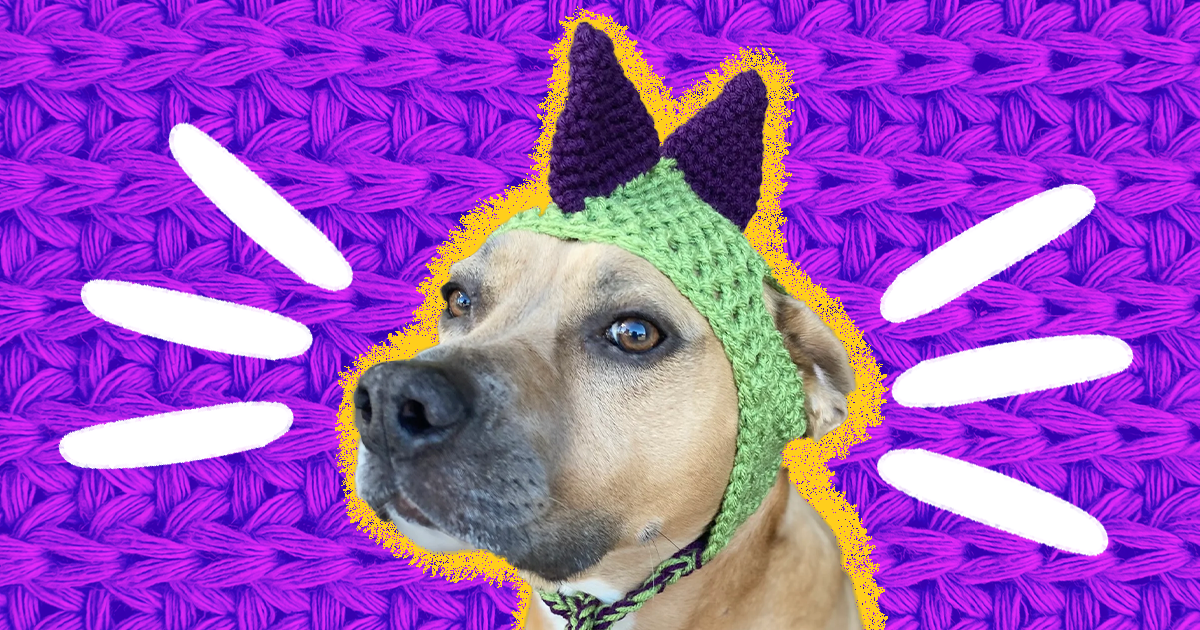 Dog Hat Crochet Funny Hat for Cats Dog Hat for Small Dogs 