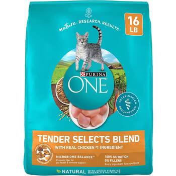 Best tasting wet cat food deals