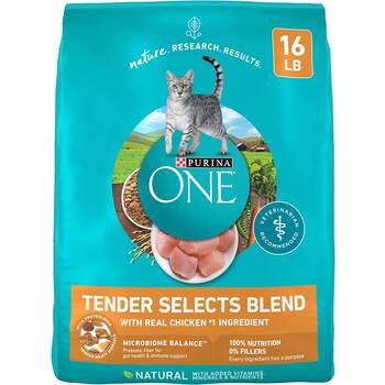 Best purina clearance one cat food