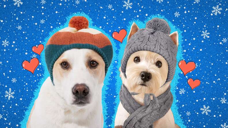 Dog Hat & Scarf Set, Dog Knitted Hat Pet Christmas Winter Warm