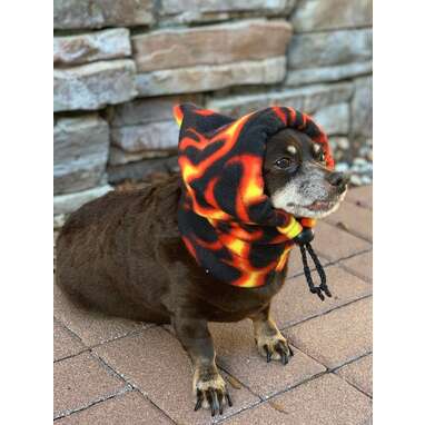 Leggings and Hat Set for Dog, Leggings and Hat for Dachshund, Warm