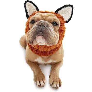 A Dodo-approved buy: Zoo Snoods Fox Hood