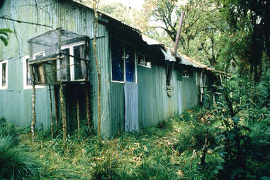 Dian Fossey's gorilla research cabin in the Virunga Mountains