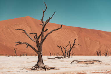 Deadvlei Hardap, Namibia