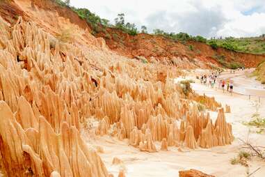 Forest of Knives madagascar